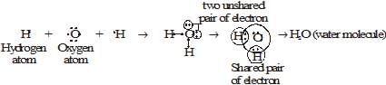 Carbon and its Compounds Class 10 Notes Science Chapter 4